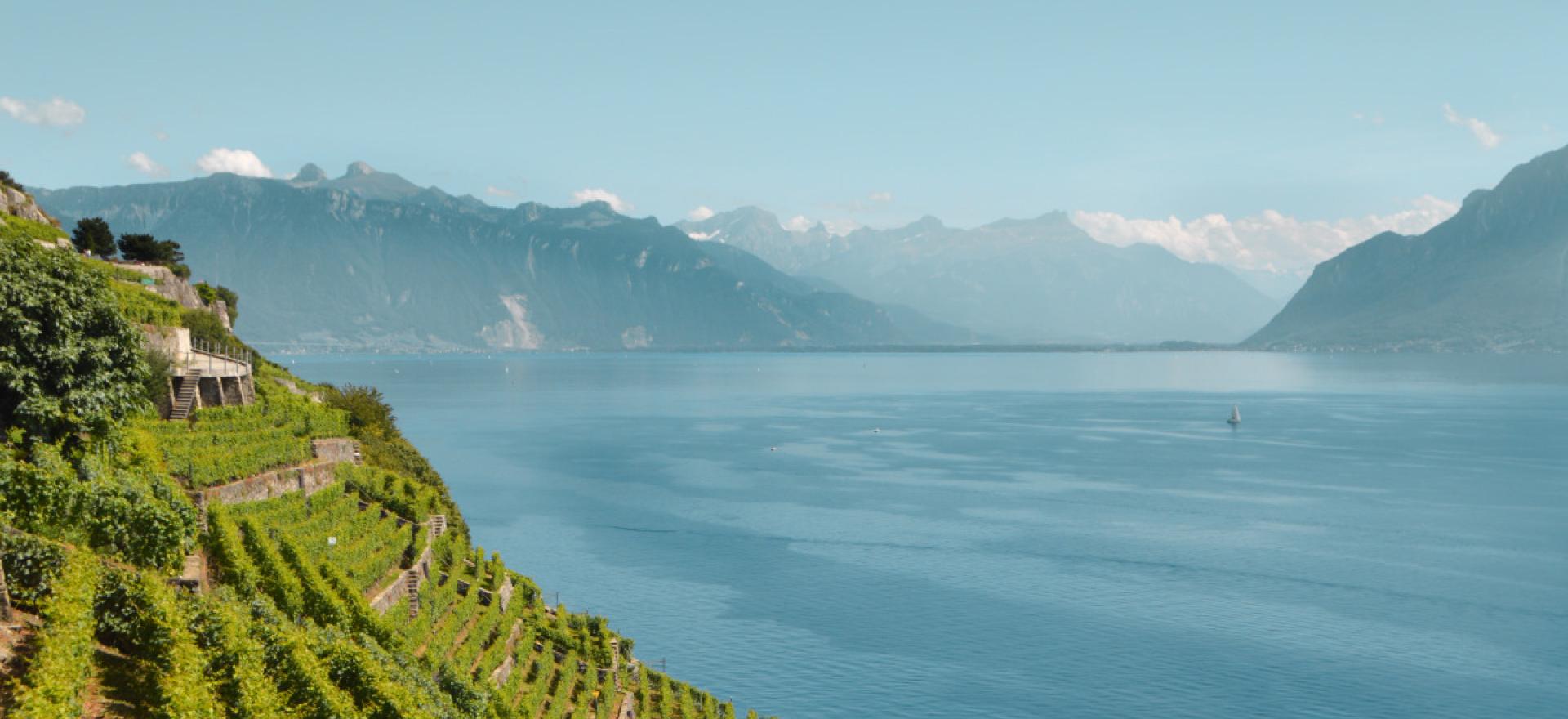 Lavaux